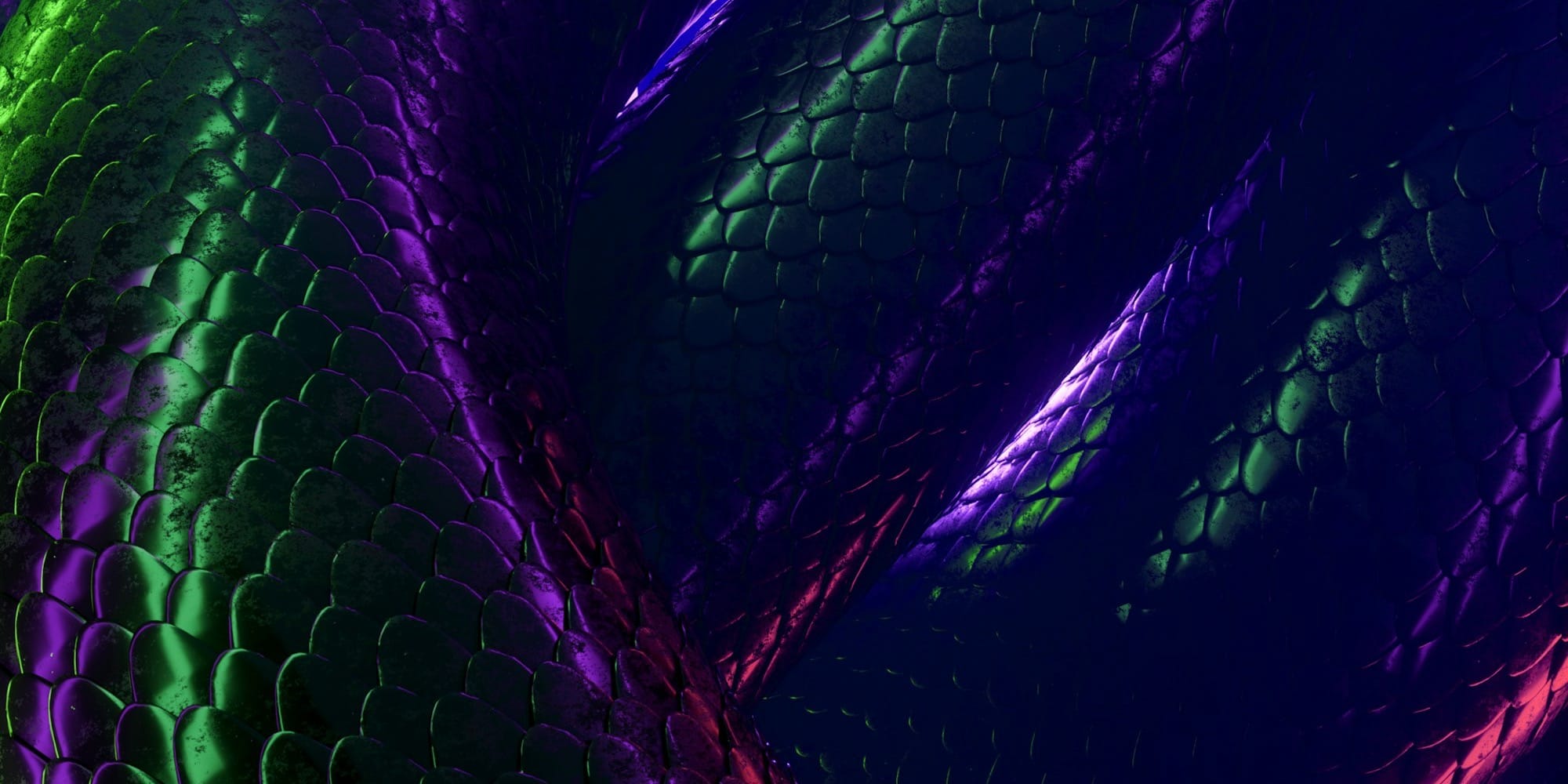 Happy Lunar New Year! Welcome to the Year of the Wood Snake 🐍