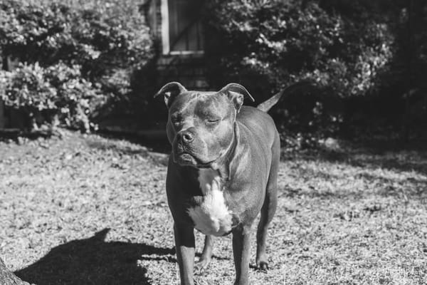 Reclaiming My Camera in 2025: Capturing Art in Everyday Life